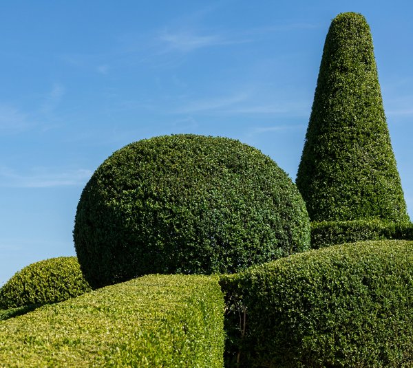 Embellissez votre jardin avec un paysagiste à Ancenis