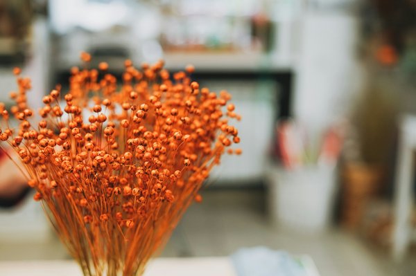 Décorez votre intérieur et événements avec des fleurs séchées